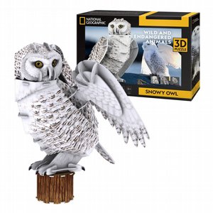 פאזל תלת מימד 62 חלקים של ינשוף מושלג - Snowy Owl פאזל תלת מימד 62 חלקים של ינשוף מושלג - Snowy Owl