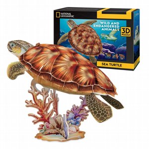 פאזל תלת מימד 31 חלקים - צב ים - Sea ??Turtle פאזל תלת מימד 31 חלקים - צב ים - Sea ??Turtle